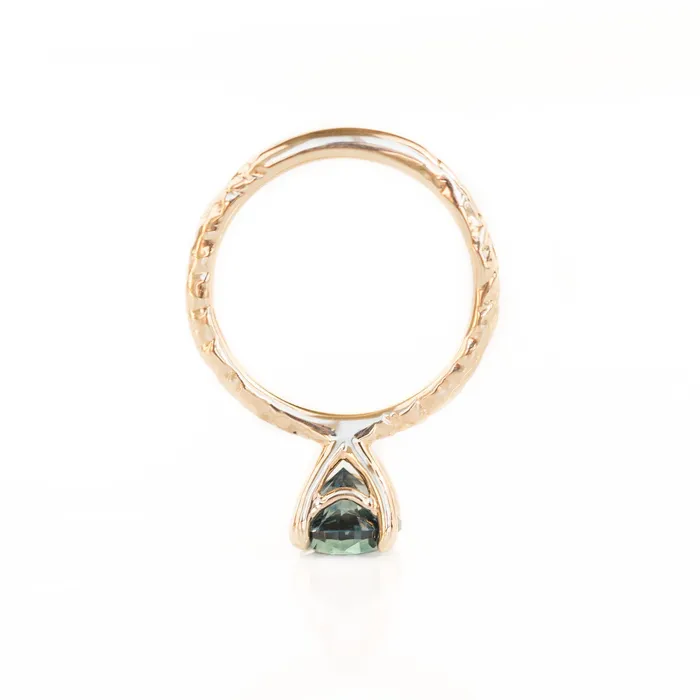 Anueva Jewelry Rings 187ct Round Montana Sapphire Ring with V Gallery 14k Yellow Gold Evergreen